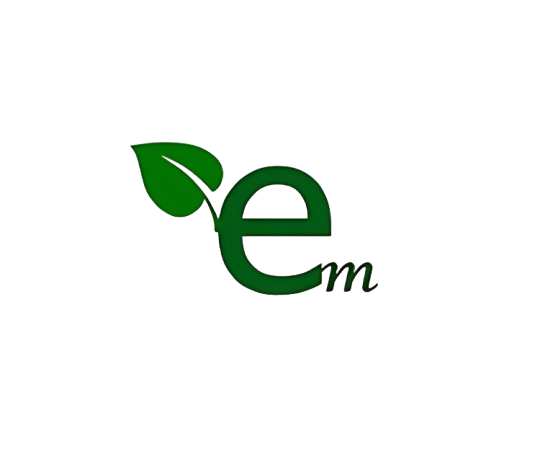 TEMO Logo